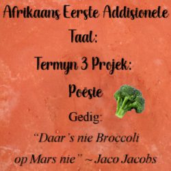 Editable Afrikaans FAL Term 3 Project Poesie Grade 4 5 6 Teacha