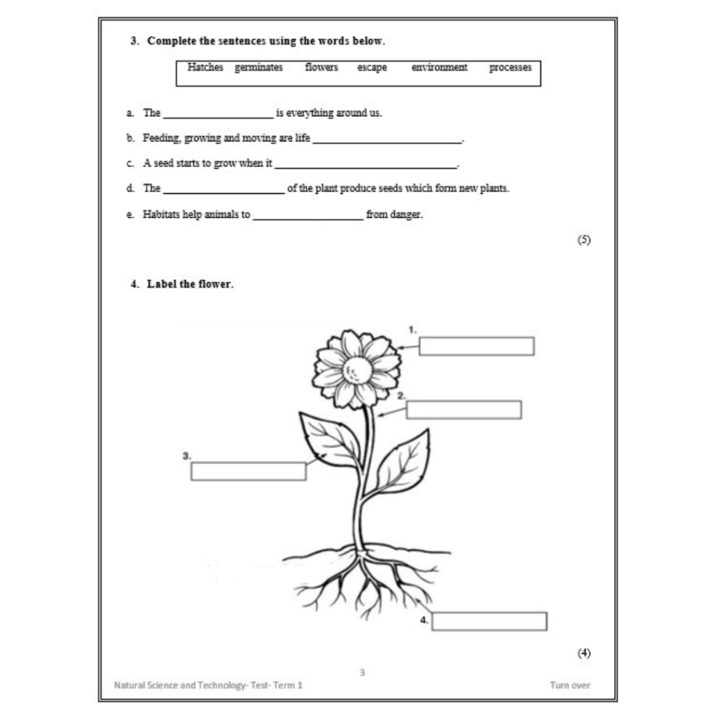 Natural Science And Technology Grade Term Examination With Memo