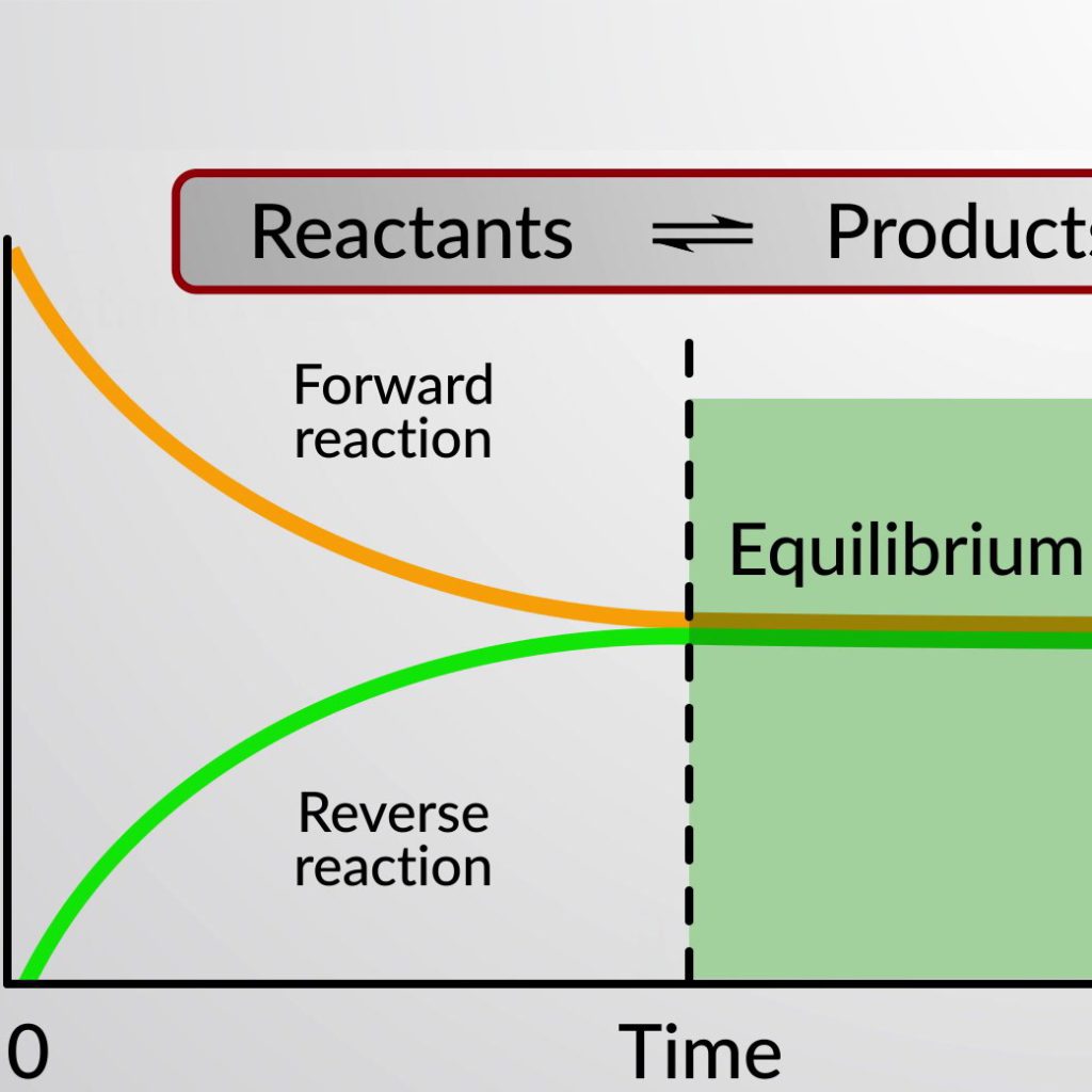 EQUILIBRIUM REACTIONS LESSON Teacha