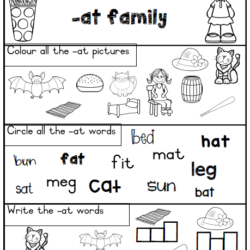 -a family workbook • Teacha!