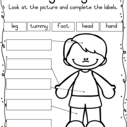 Grade 1 Life skills Workbook Term 2 • Teacha!