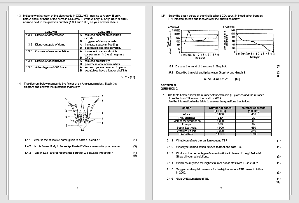 Grade 11 Life Science November Exam Paper 2 Teacha 