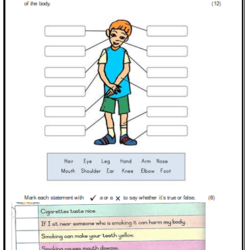 Grade 3 Like skills Assessment – term 1 • Teacha!