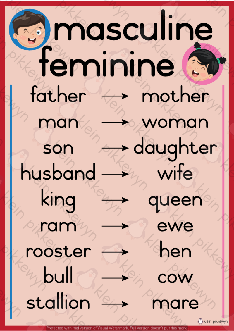 Masculine + Feminine Poster • Teacha!