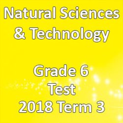 Natural Sciences & Technology Grade 6 2018 Term 3 Test • Teacha!