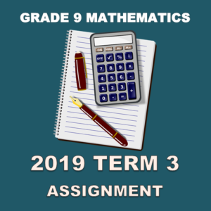 2019 Term 3 Grade 9 Mathematics Assignment • Teacha!