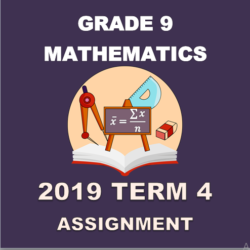 grade 9 assignment term 3