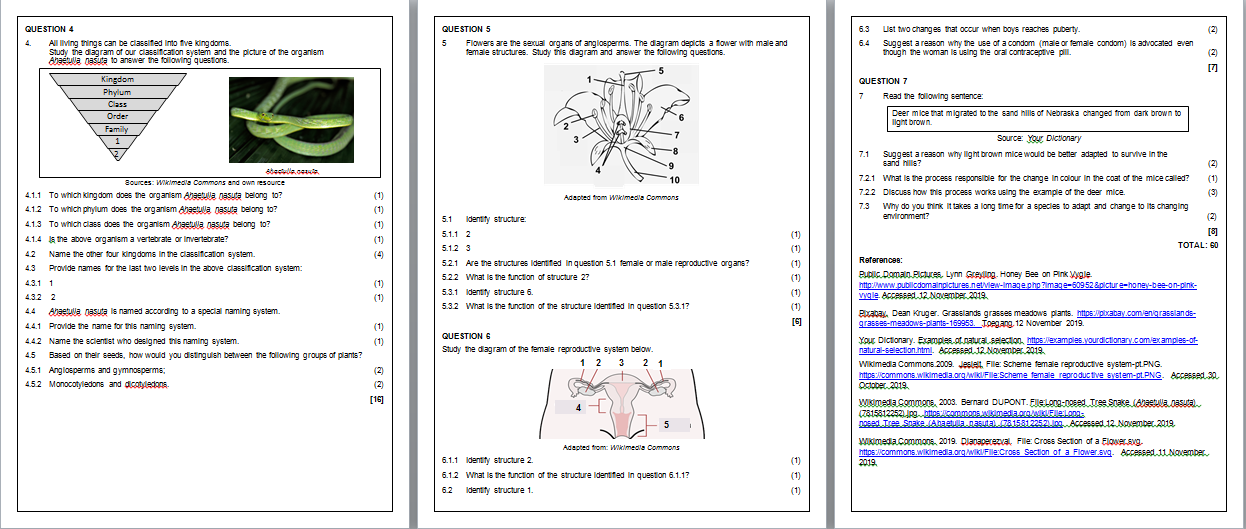 Grade 7 Natural Sciences Term 1 Control Test Teacha 