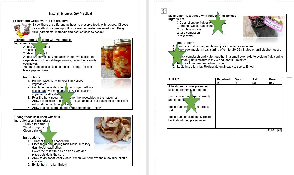 grade 6 food preservation project experiment with rubric 20 word doc teacha