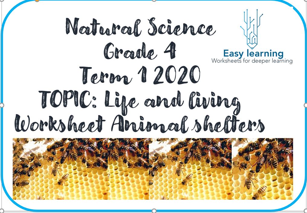 NS Gr 4 Animal Shelters Term 1 Week 7 • Teacha!