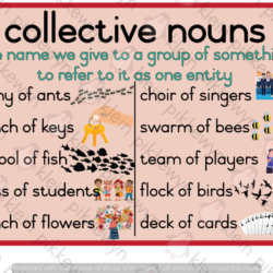 Collective Nouns Poster • Teacha!