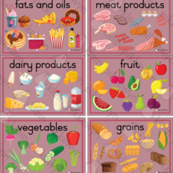 Food Groups and Food Pyramid • Teacha!