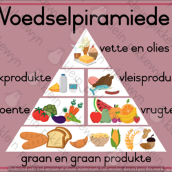 Voedselgroepe + Piramiede • Teacha!