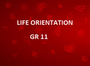 grade 11 life orientation term 3 assignment 2022