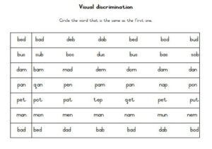 Visual Perception Grade 2 • Teacha!