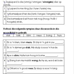 Afrikaanse Module met Aktiwiteite • Teacha!