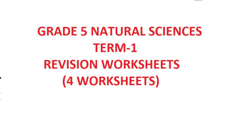 grade 5 natural sciences term 1 revision worksheets 4 worksheets teacha