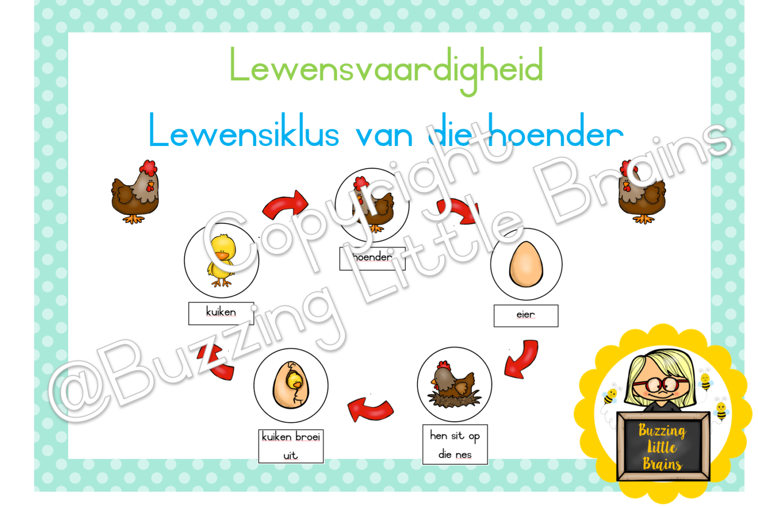 Lewensvaardigheid My Gemeenskap • Teacha