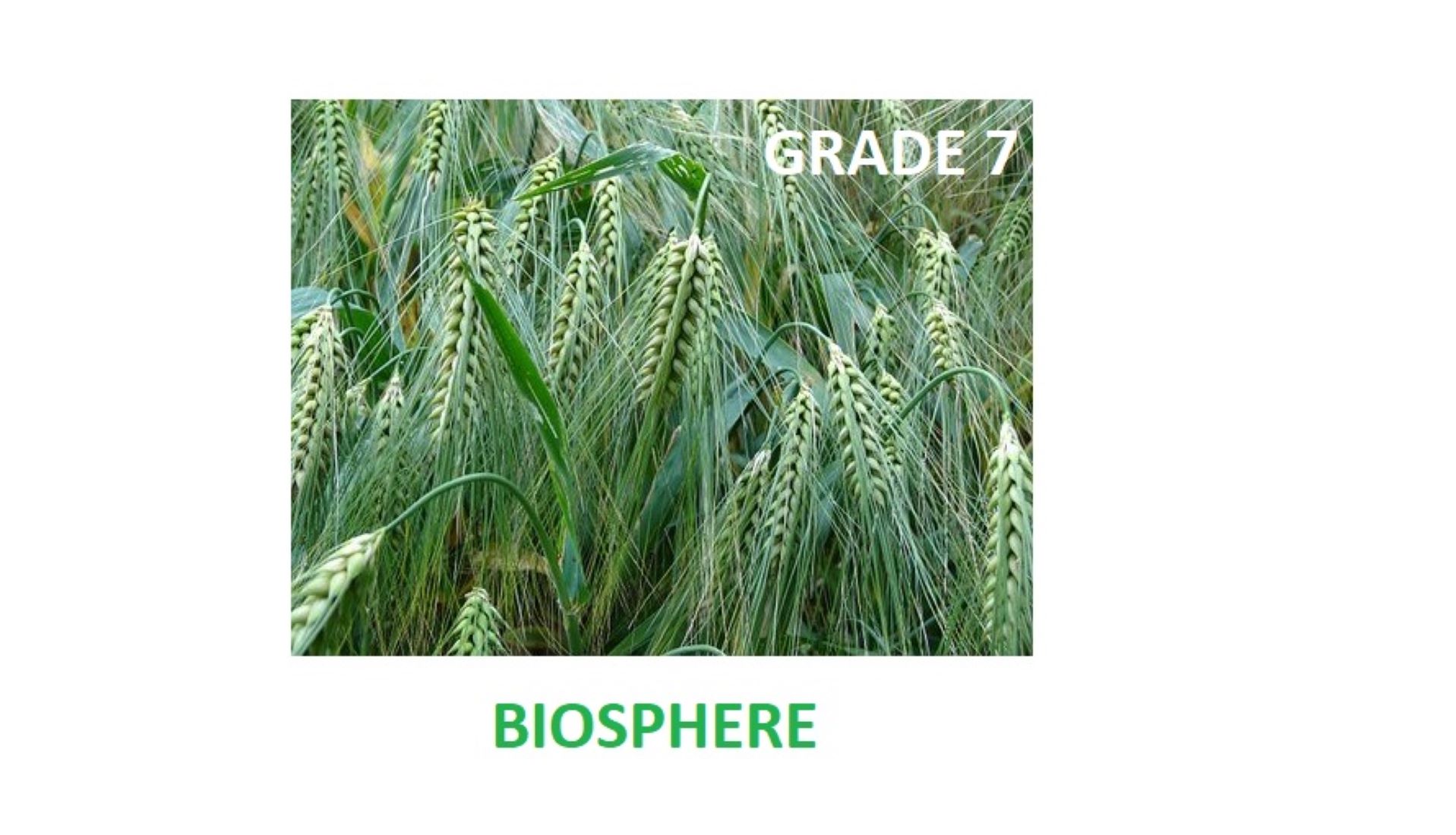 grade 7 natural sciences term 1 worksheet on biosphere teacha