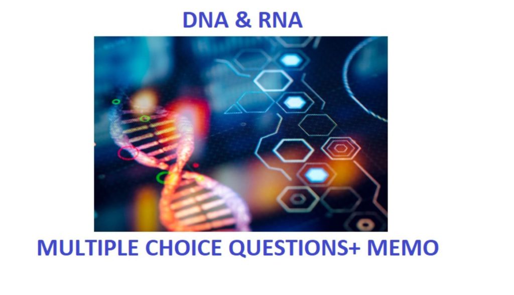 grade 12 life science dna questions and answers pdf