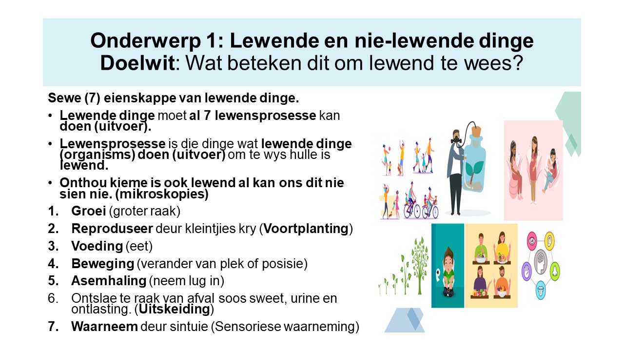 Graad 4 Kwartaal 1 Onderwerp 1 Lewende en nie-lewende dinge Hulpbronne ...