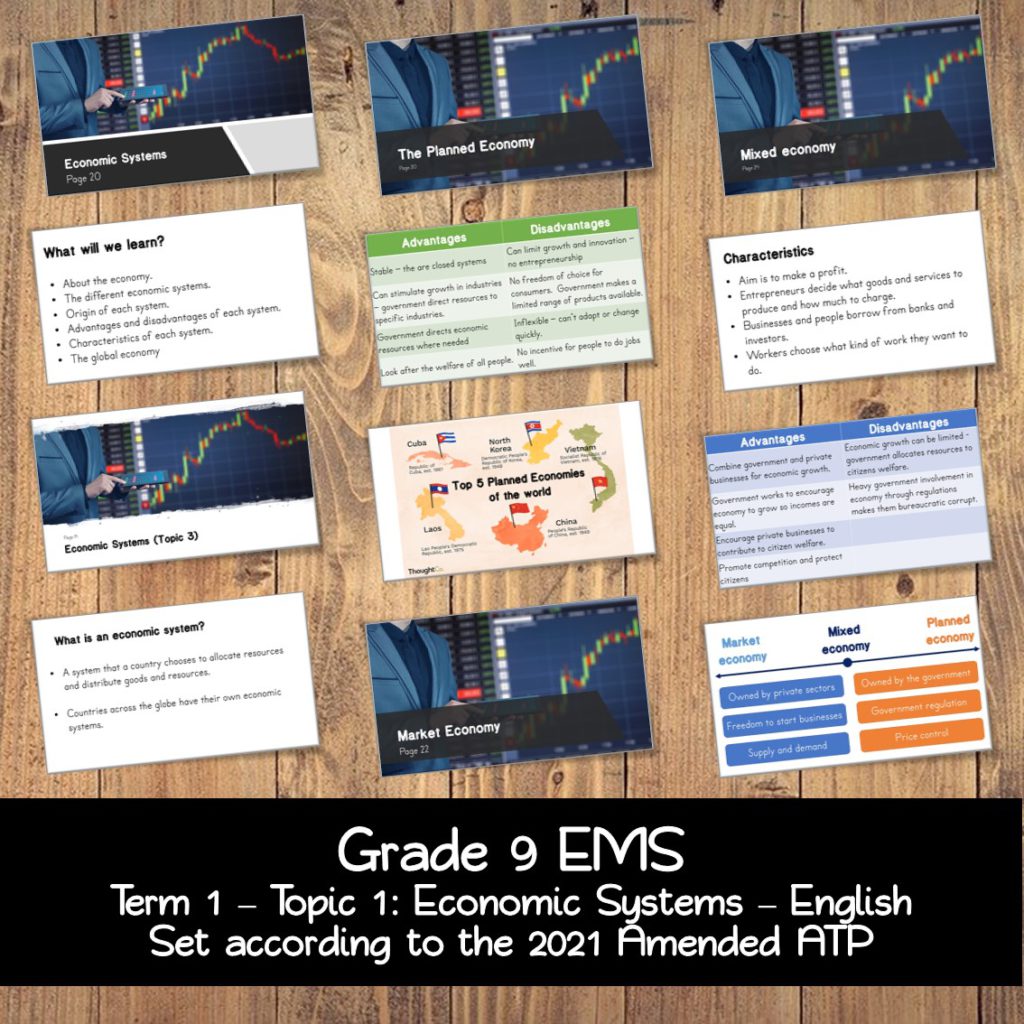 grade 9 assignment term 1 ems