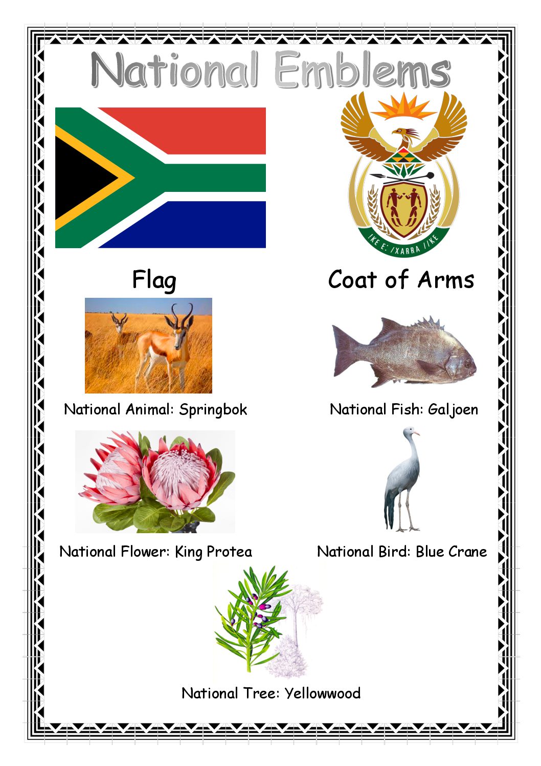 South African National Symbols