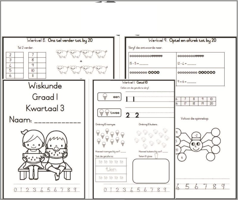 Graad 1 Wiskunde Kwartaal 1-4 • Teacha!