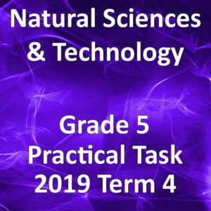 Natural Sciences & Technology Grade 5 2019 Term 4 Practical Task • Teacha!