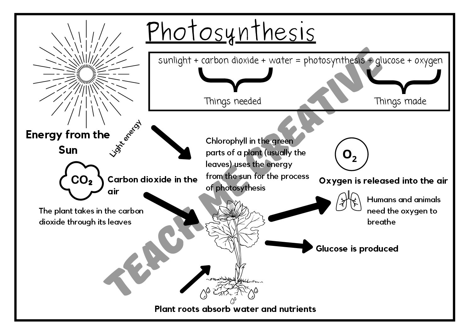 clipart-photosynthesis-worksheet