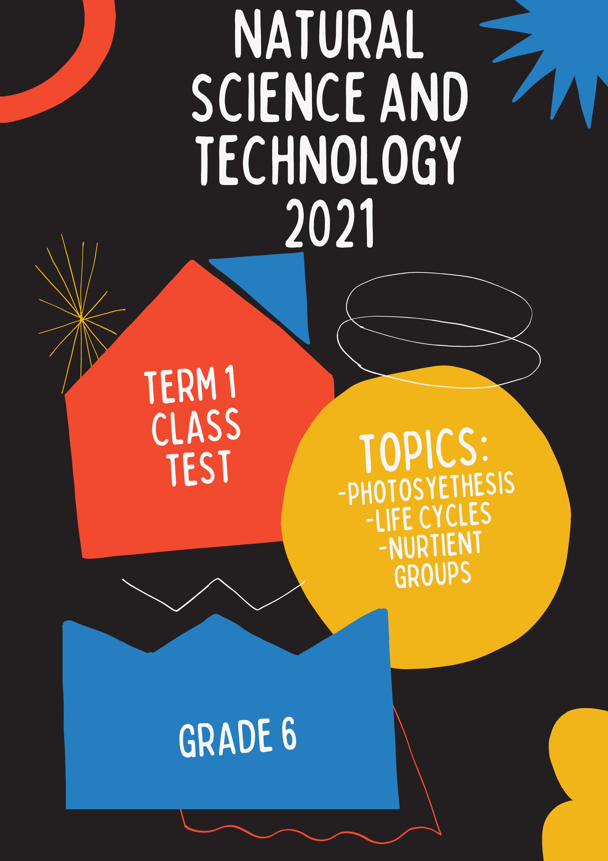 Natural Sciences and Technology Grade 6 - ppt download