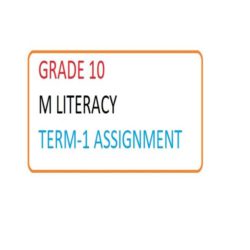 mathematical literacy grade 10 assignment 1 2022