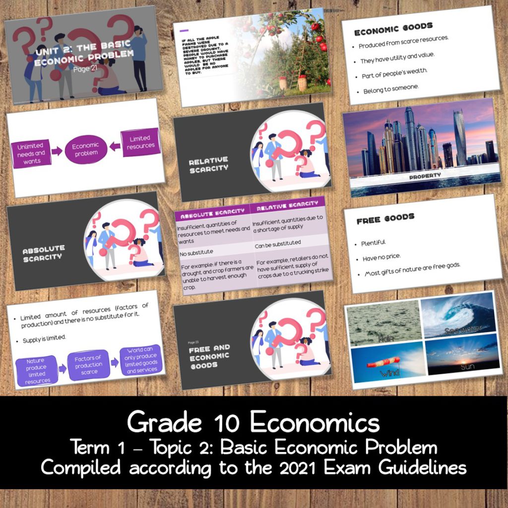 economics assignment grade 10 term 1