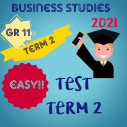 business studies grade 11 assignment term 2