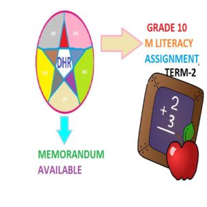 maths literacy grade 10 assignment 2021 term 3 memo