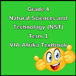 Grade 4 Natural Sciences And Technology Term 1 (NST) (VIA Afrika) • Teacha!