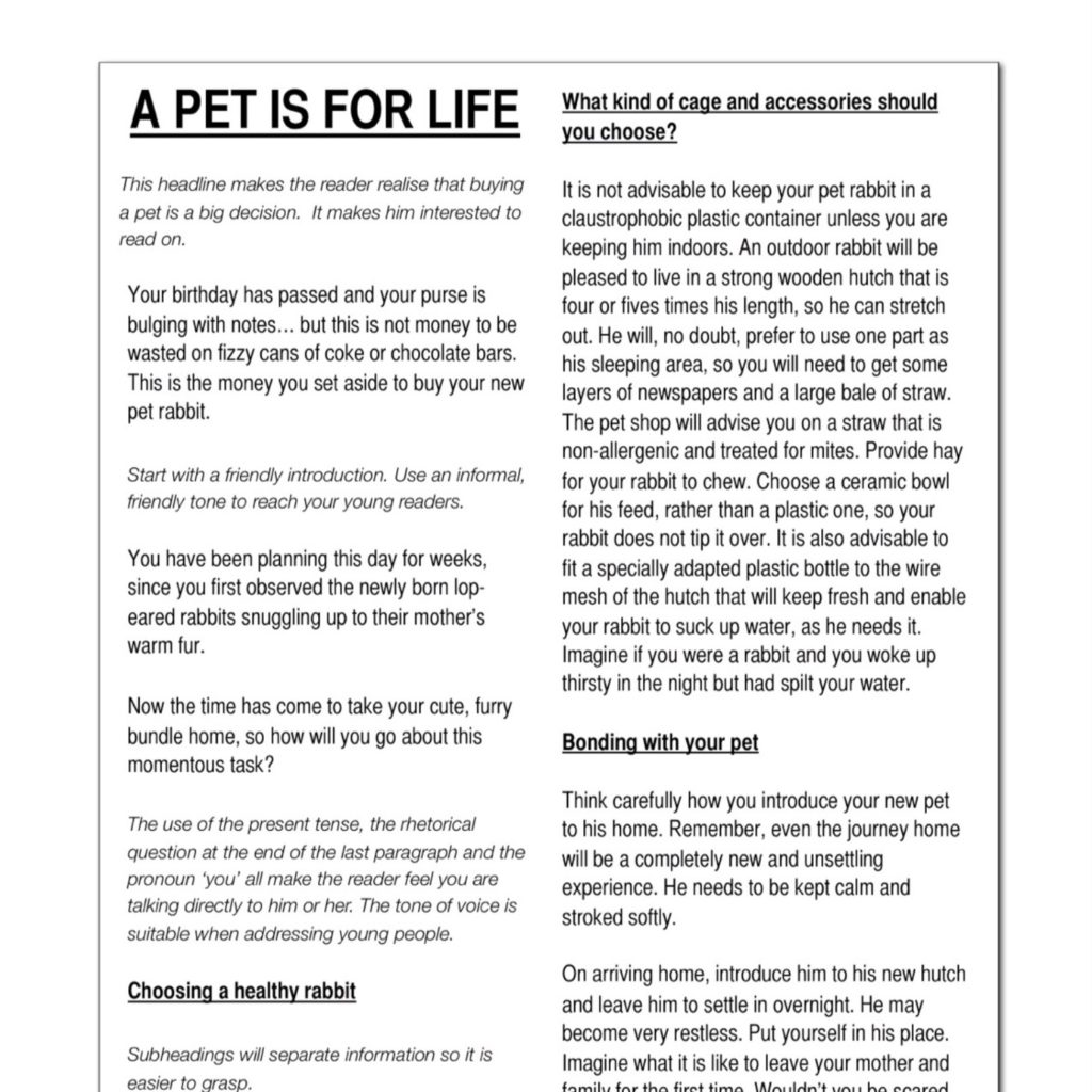 Practise Writing To Advise On Getting A Pet (9-14 years) • Teacha!