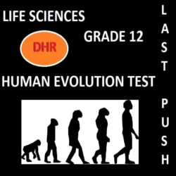 life sciences sba assignment grade 11