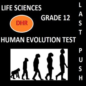 grade 12 life sciences 2022 assignment term 3 evolution memo