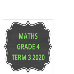 Maths Grade 4 Term 3 2020 Assignment – ALL 5 topics • Teacha!