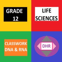 life sciences sba assignment grade 11