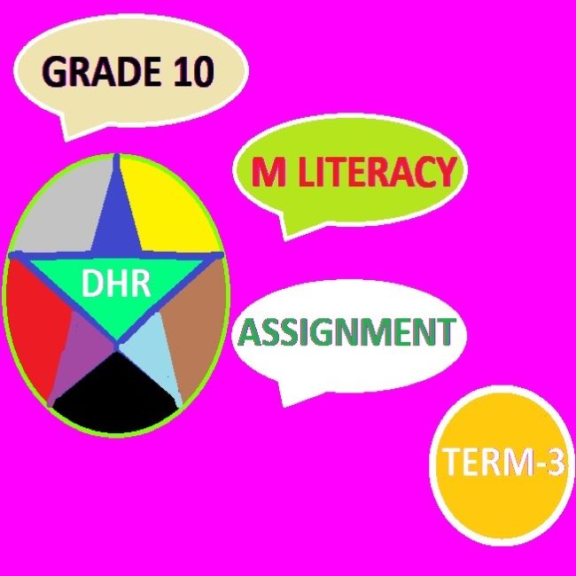 mathematical literacy grade 10 assignment 2