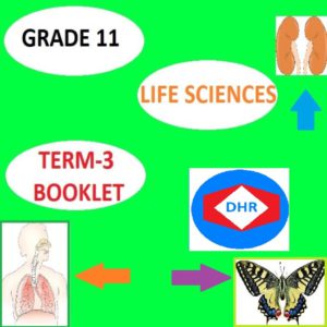 life science grade 11 research project term 3 memorandum