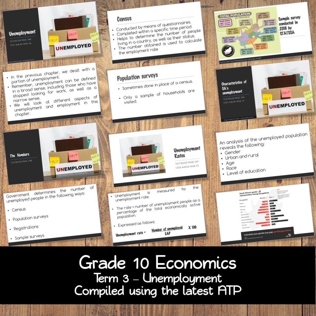 economics research project grade 10