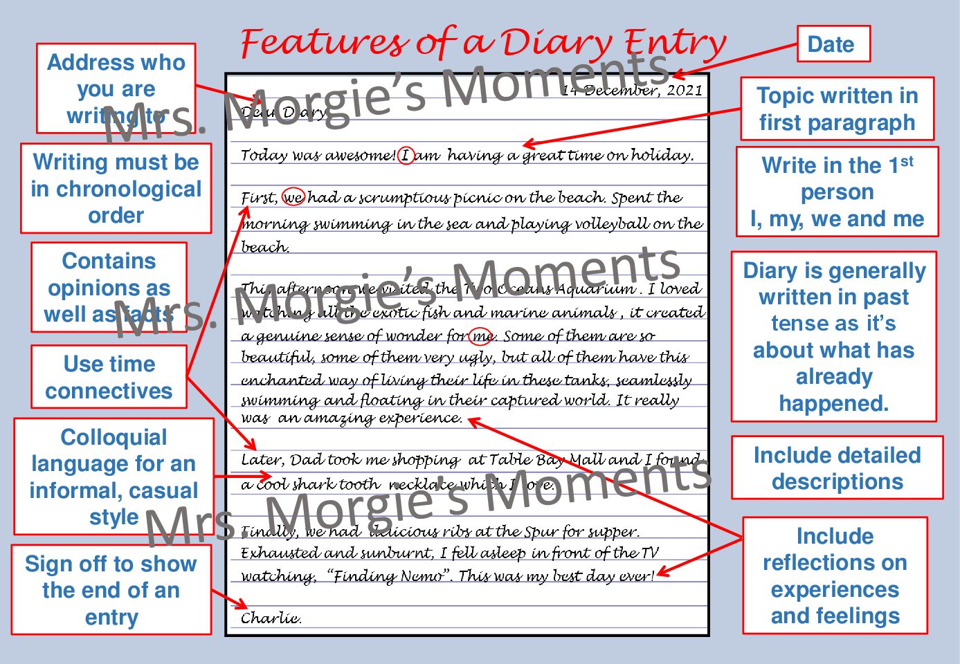 English HL FAL Transactional Writing Diary Entry PowerPoint 