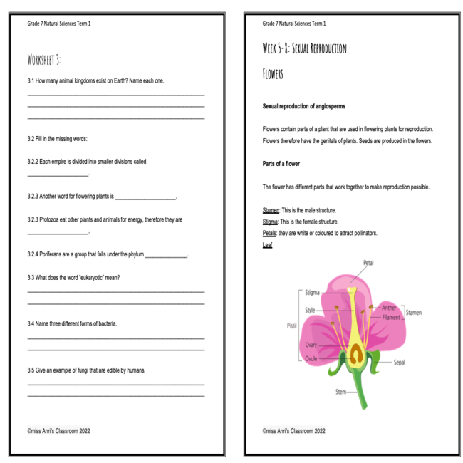 grade 7 natural sciences term 1 booklet teacha