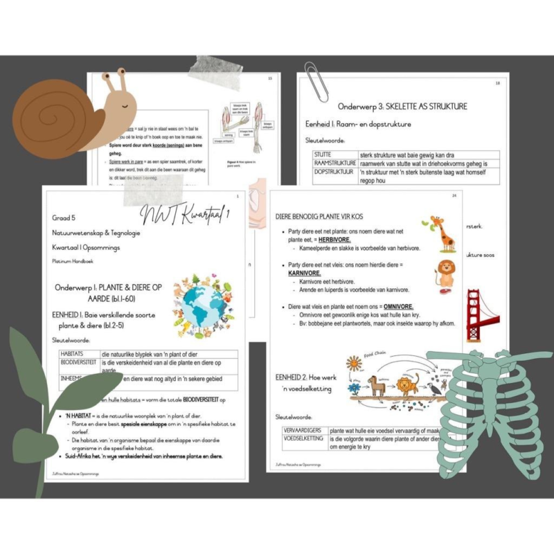 GRAAD 4 NATUURWETENSKAP & TEGNOLOGIE KWARTAAL 2 OPSOMMINGS – PLATINUM ...