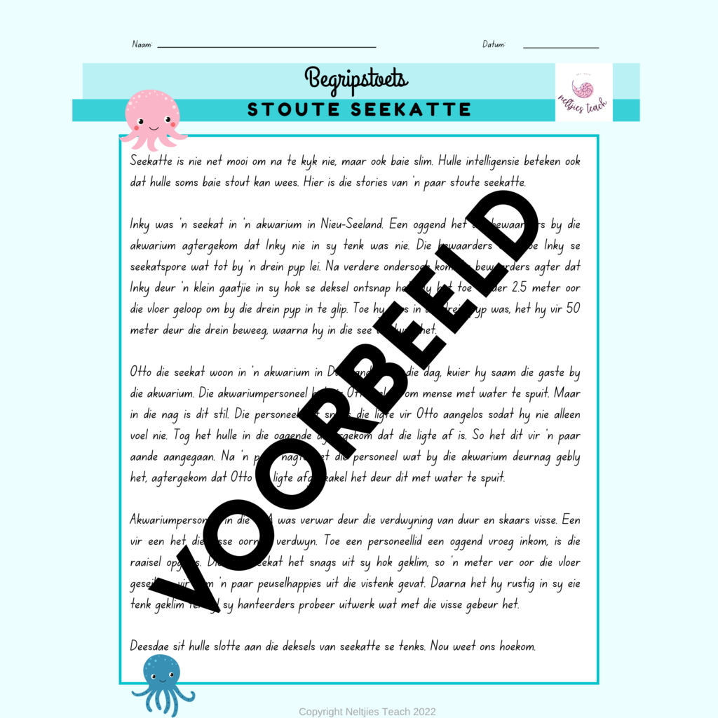 Begripstoets – Stoute Seekatte (Gr6-8) • Teacha!