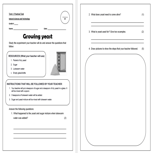 Grade 4 Natural Science Term 1 Practical Assessment task Teacha 