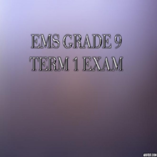 grade 9 ems term 1 assignment 2022